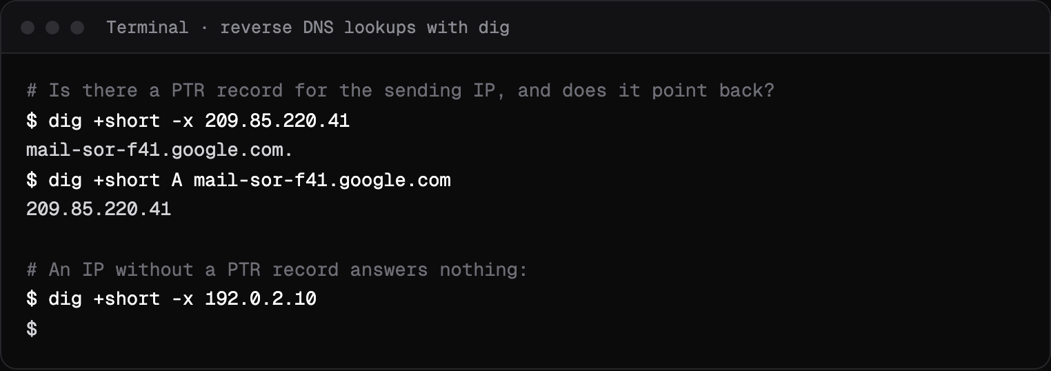 Terminal output of dig -x for a Google mail server IP returning its host name, the forward lookup returning the same IP, and an IP with no PTR record